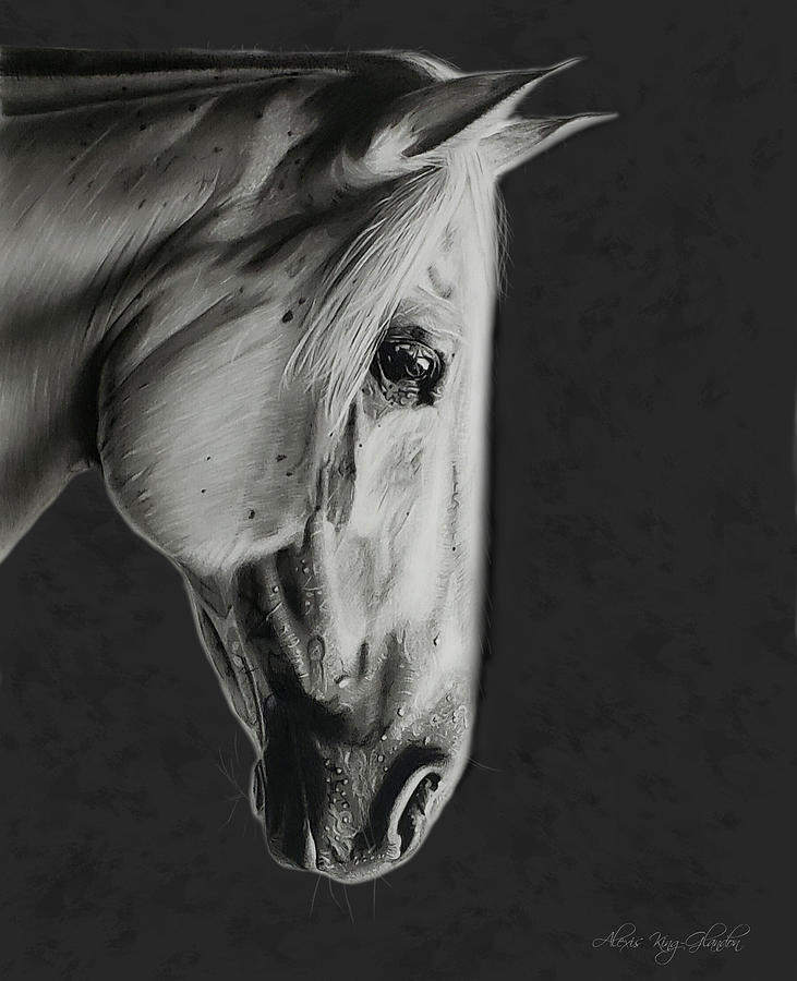 Gleam in Gray Drawing by Alexis King-Glandon