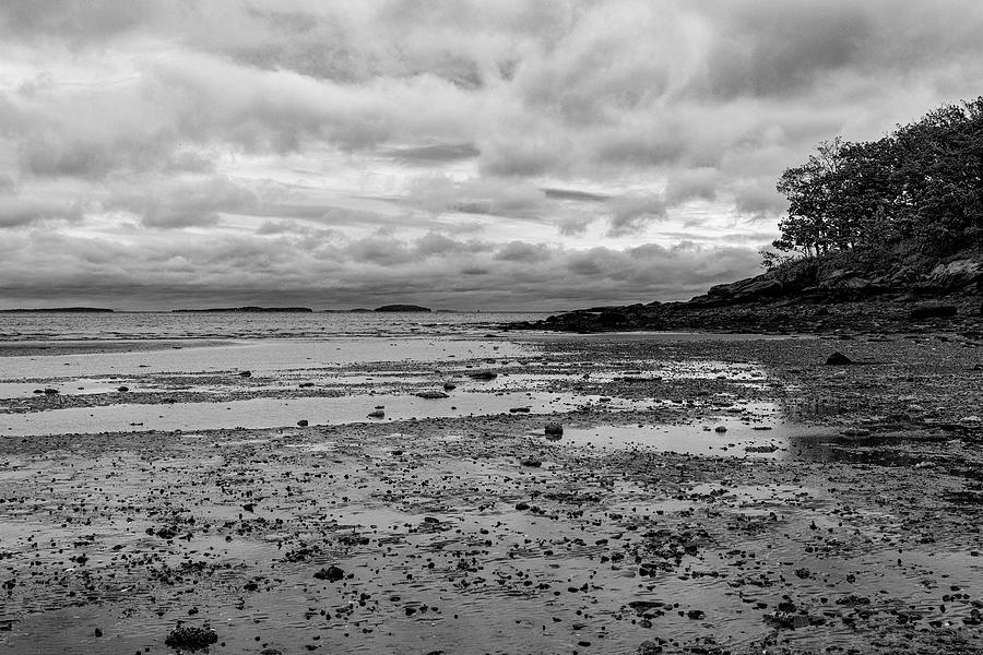 Glen Cove at Low Tide Photograph by Fran Gallogly
