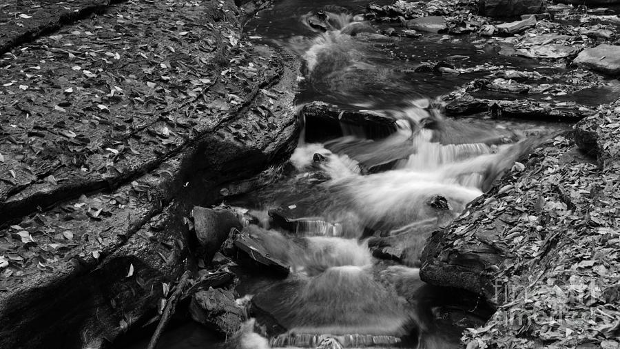 Glen Creek in Black and White Photograph by fototaker Tony