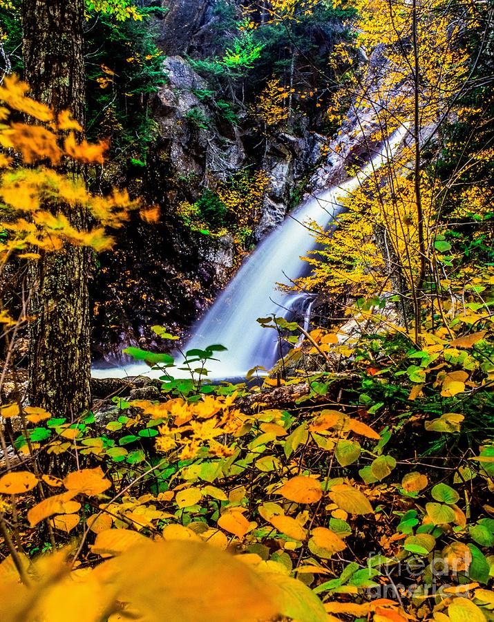 Glen Ellis Waterfall in autumn Photograph by Michael McCormack