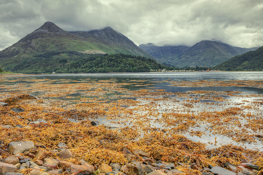 Glencoe and Loch Leven Photograph by Ray Devlin