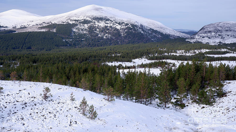 Glenmore Forest and the Pass of Ryvoan - Cairngorm Mountains Photograph by Phil Banks