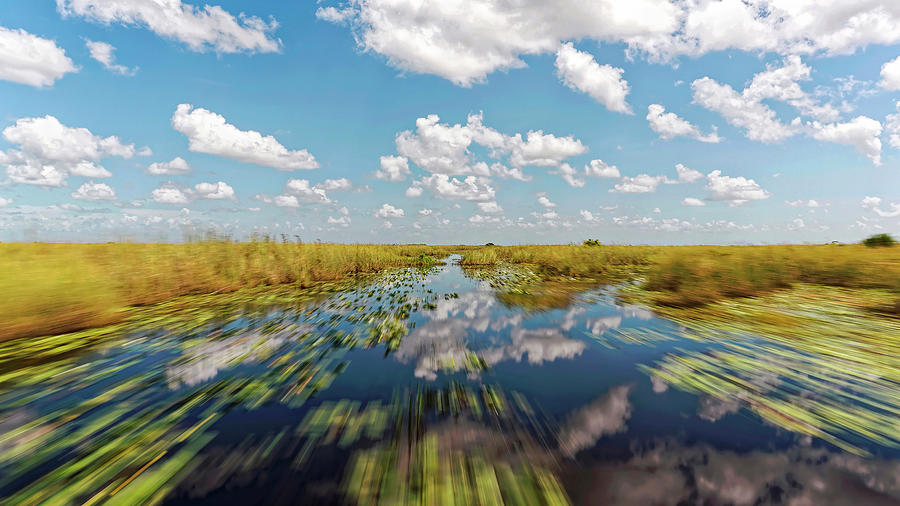 Everglades Photograph - Gliding the Glades by Felipe Correa