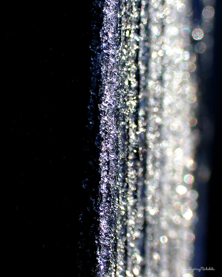 Glitter Photograph by Sydney Michalski Glitter Photograph by Sydney Michalski
