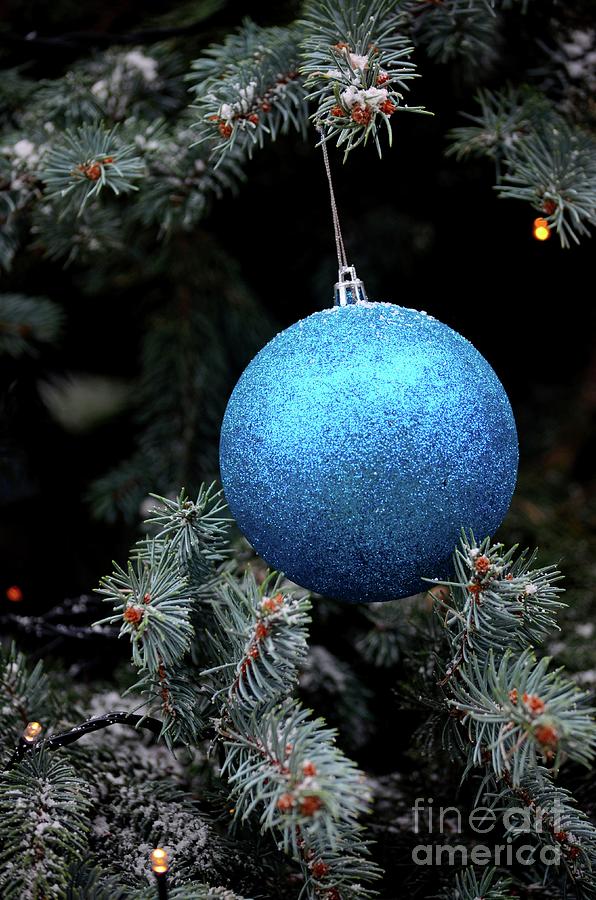 Glittering blue hanging ball decoration on Christmas tree Photograph by Imran Ahmed