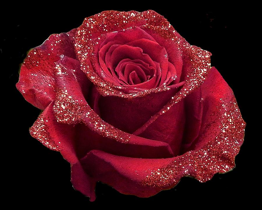 Glittery Red Rose Photograph by Andrew Lawrence