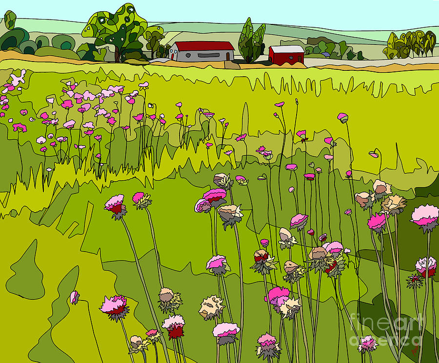 Globe Amaranth Colorado Flower field - Illustration Digital Art by Patricia Awapara