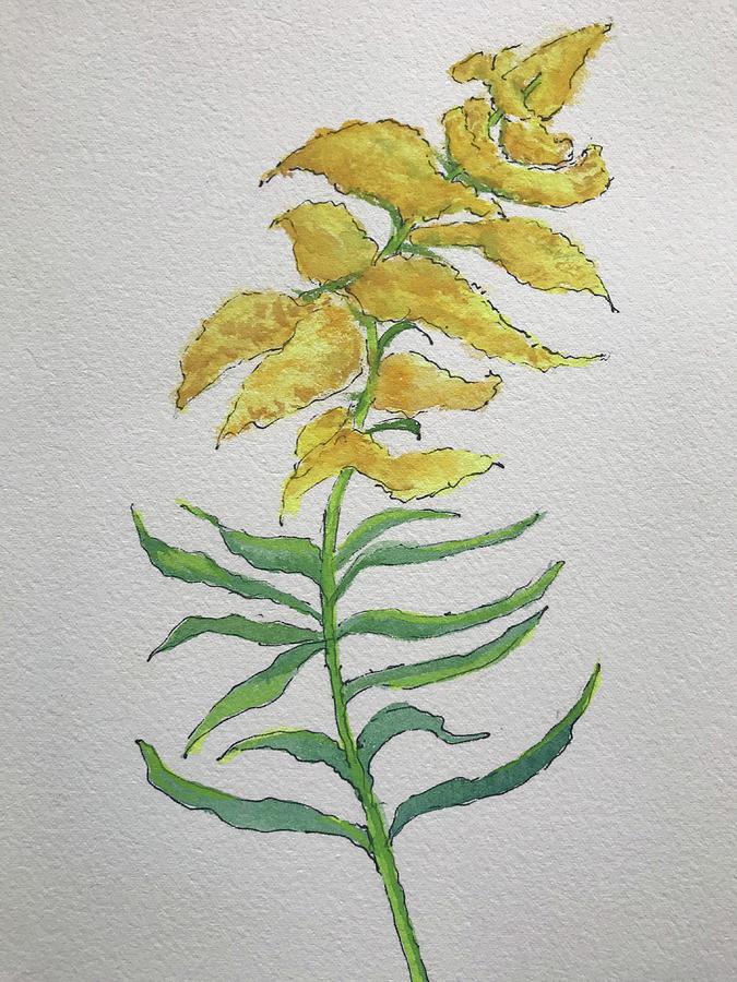 goldenrod watercolor