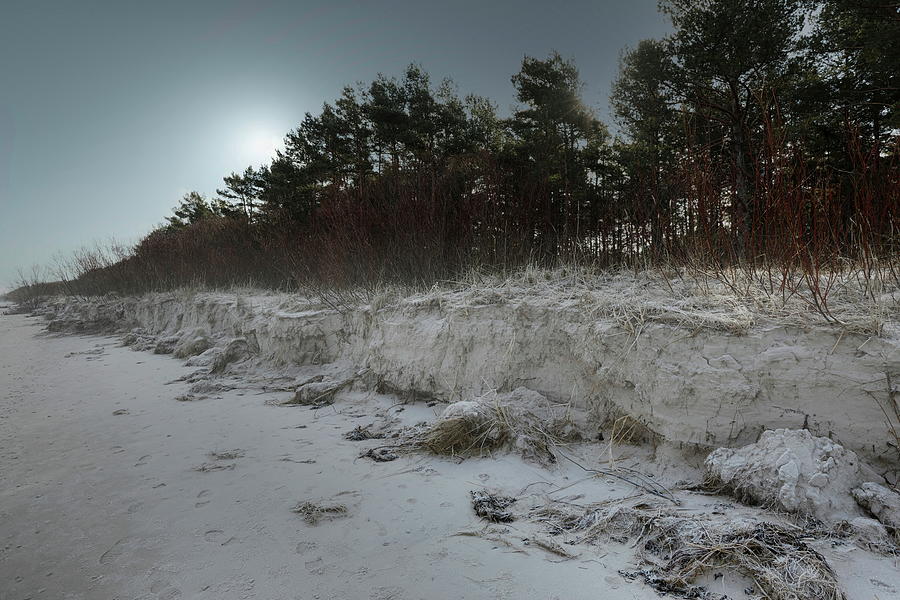 Gloomy Frosty Morning In March Latvia  Photograph by Aleksandrs Drozdovs