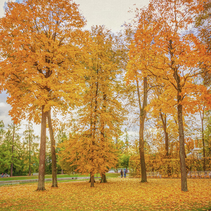 Glorious Autumn Photograph by Karen Sirnick