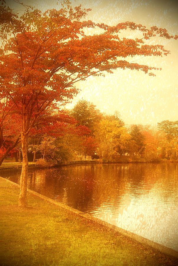 Glorious Autumn - Lake Carasaljo Photograph by Angie Tirado