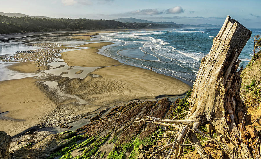 Nature Photograph - Glorious Beach Morning by Frank Barnitz