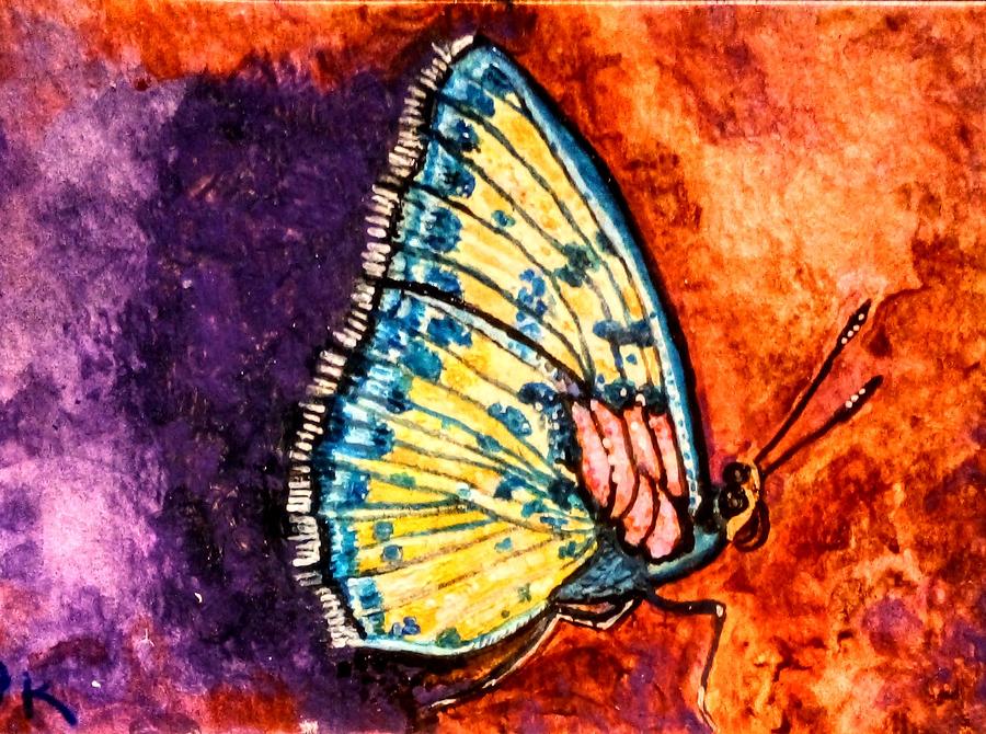 Glorious Butterfly Painting by Barbara Keigher - Fine Art America