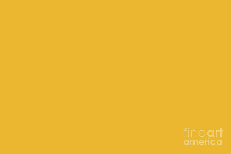 Glorious Golden Yellow Solid Color Pairs To Sherwin Williams Goldfinch SW 6905 Digital Art by PIPA Fine Art - Simply Solid