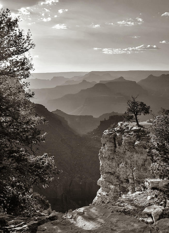 Glorious Layers Of Grand Canyon In Sepia Photograph by Gregory Ballos