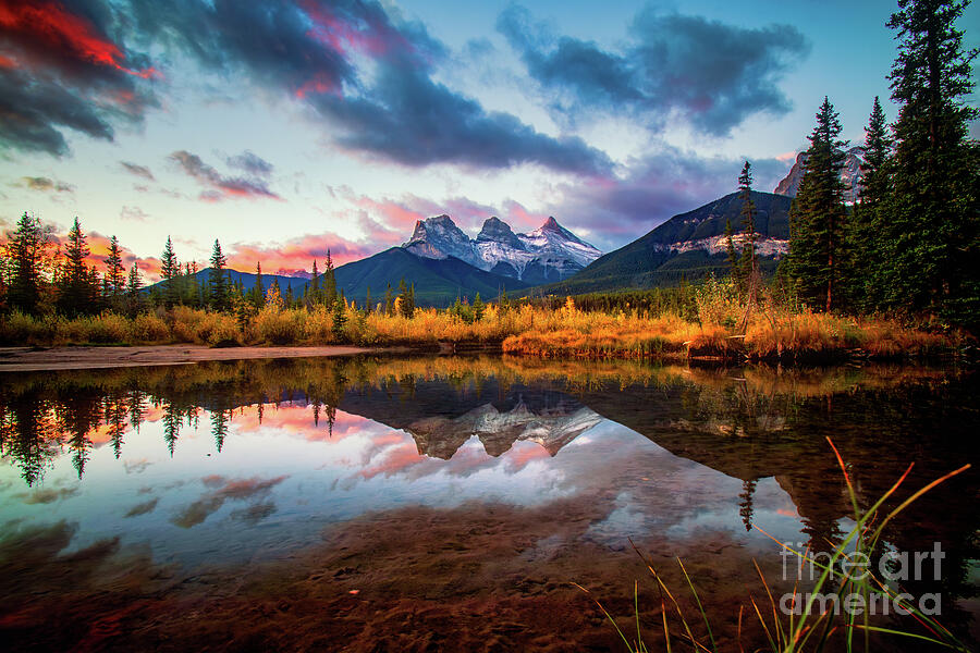 Glorious Morning Photograph by Thomas Nay Glorious Morning Photograph by Thomas Nay
