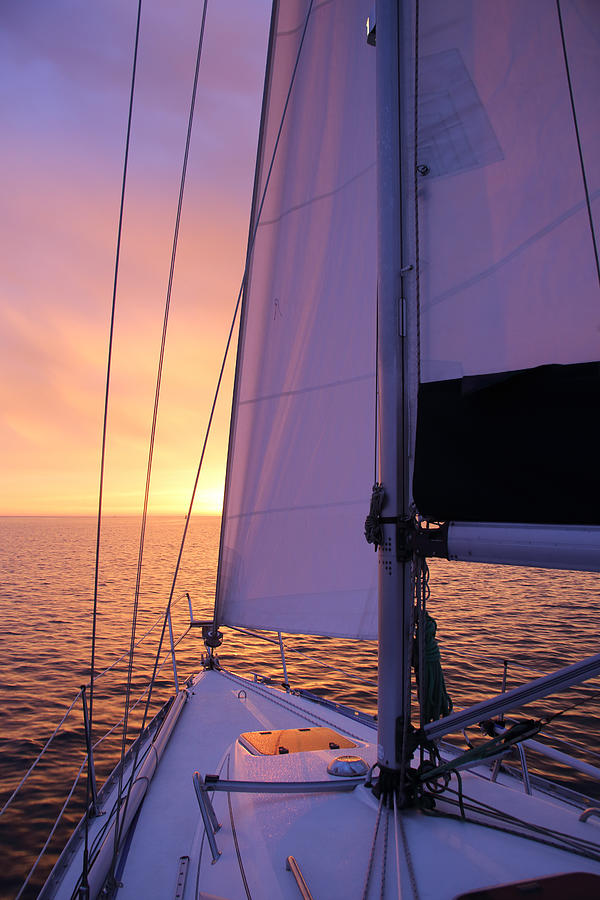 Glorious sunrise and yacht under sail Photograph by Rosemary Calvert
