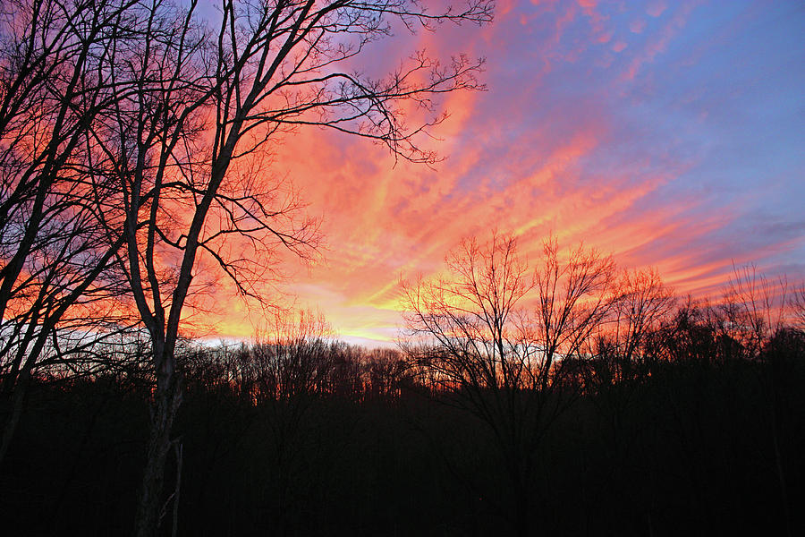 Glorious Sunrise Photograph by Kristin Elmquist