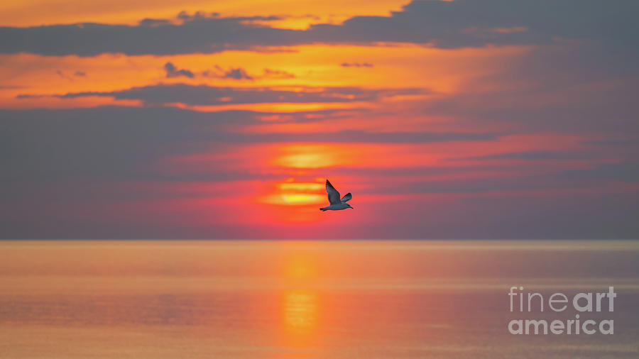 Glorious Sunrise Photograph by Sean Mills