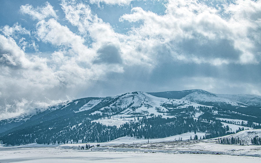 Glorious Winter, Yellowstone National Park Photograph by Marcy Wielfaert