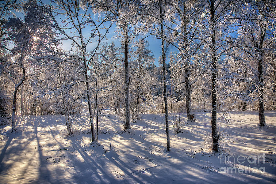 Glorious Wintertime Photograph by Edmund Nagele FRPS