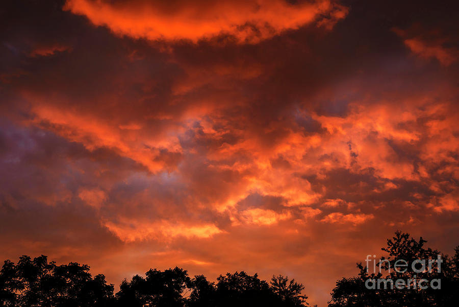 Glorious Morning Sky Photograph by Thomas R Fletcher