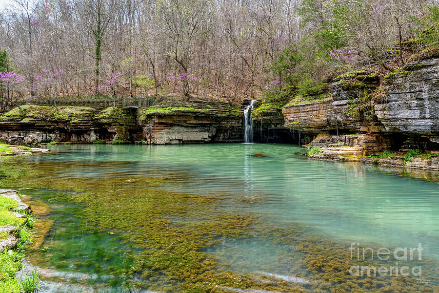 Glory Hole Waterfall In Spring Photograph by Jennifer White