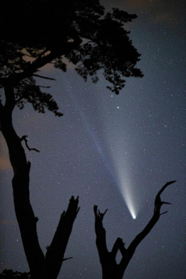 Glory of Comet Neowise Photograph by Rob Hemphill