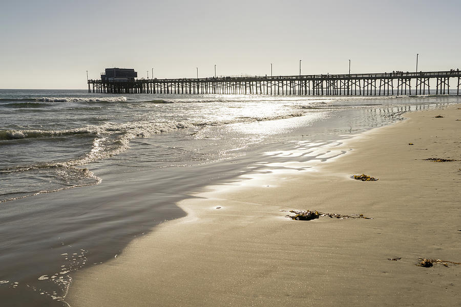 Glossy Gold Beach Vibe - Sunshiny Newport Beach Pier In Orange County California Photograph
