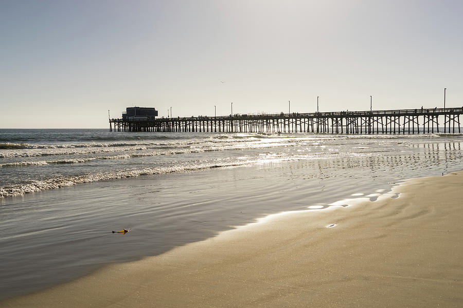 Glossy Golden Beach Vibe - Sunshiny Newport Beach Pier in Orange County California Photograph by Georgia Mizuleva