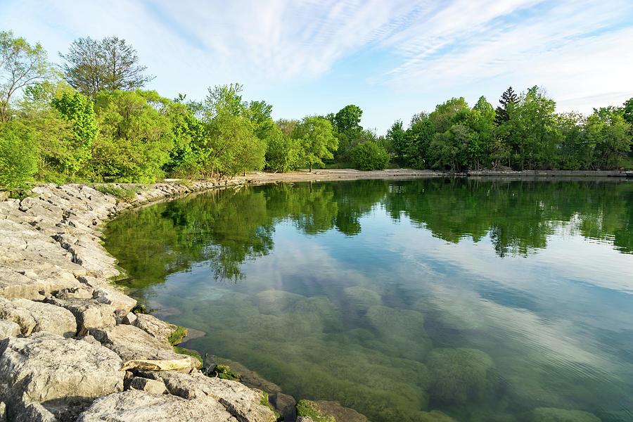 Early Summer Photograph - Glossy Morning Lakeside - Early Summer Green Above and Below Lake Ontario in Toronto by Georgia Mizuleva