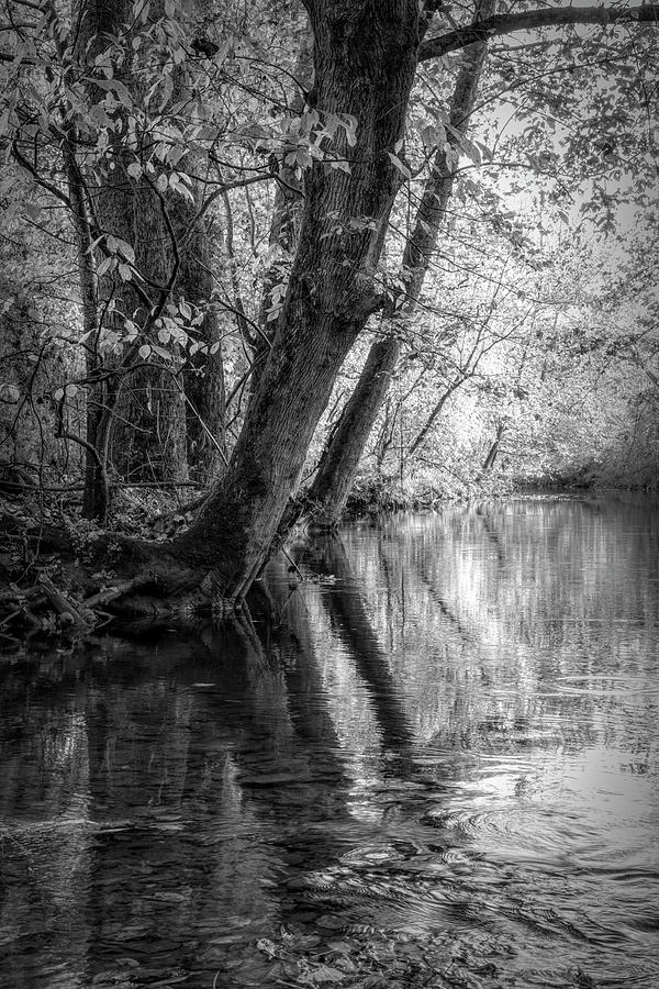 Glossy Reflections at the River Black and White Photograph by Debra and Dave Vanderlaan