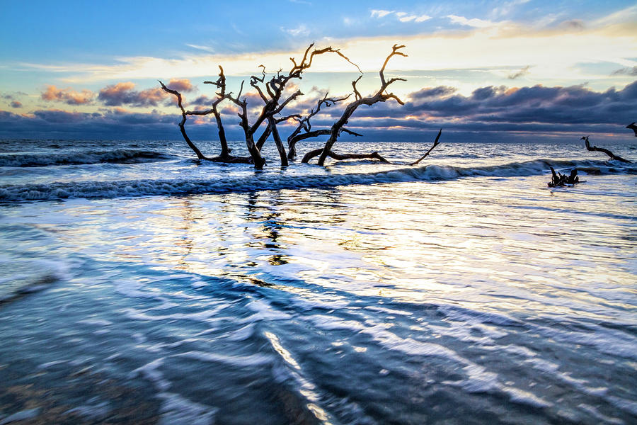 Glossy Waves At Driftwood Beach Jekyll Island Photograph By Debra And 