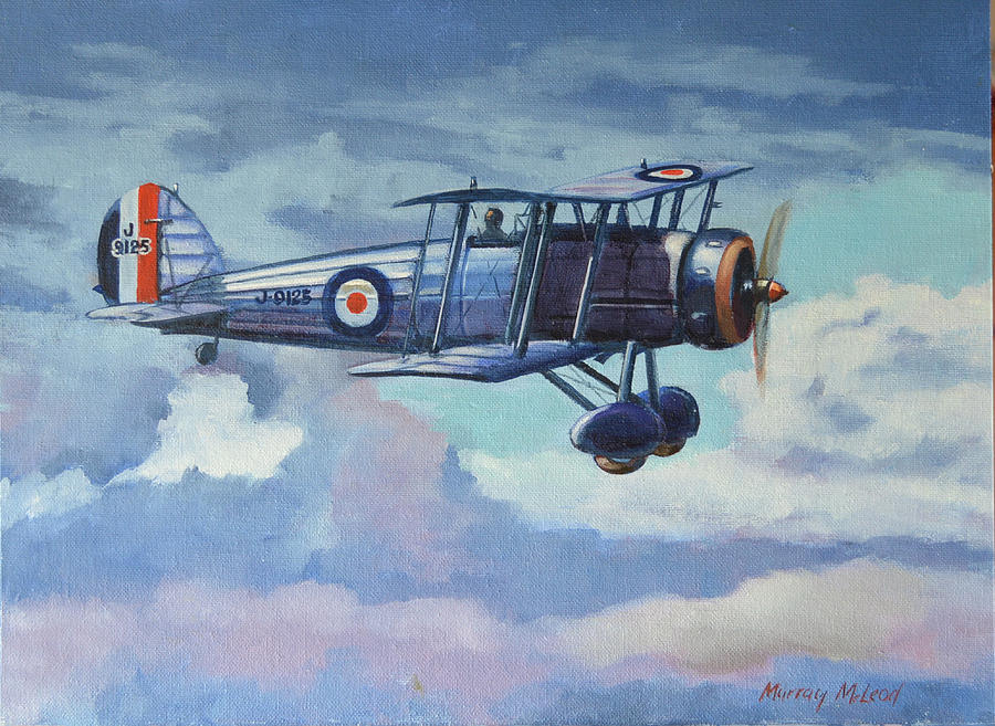 Gloster Gauntlet Painting by Murray McLeod
