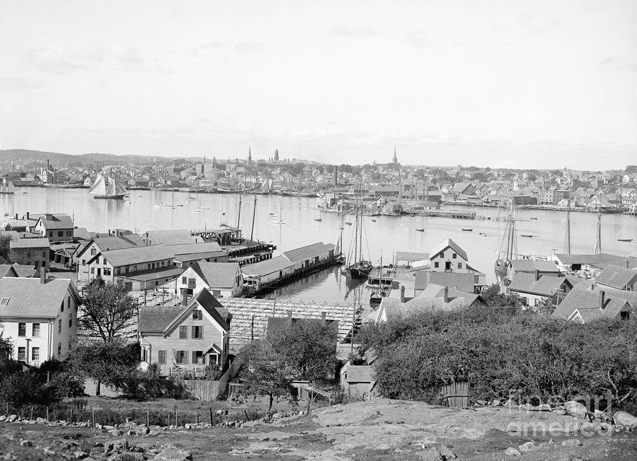 Gloucester Harbor, c1905 Photograph by Granger