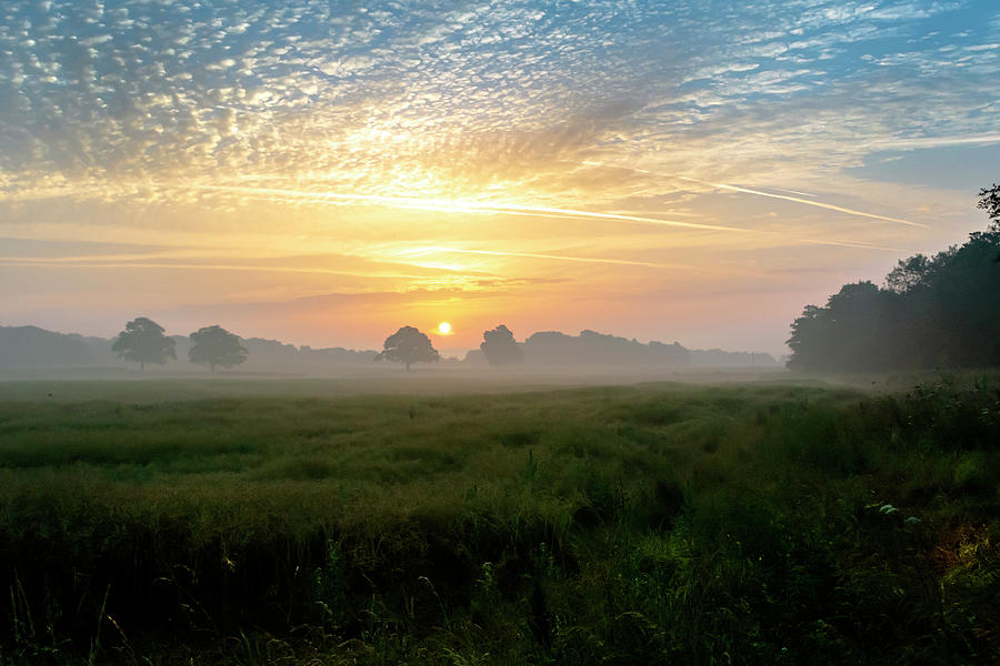 Glorious Morning Sunrise Photograph by Dave Williams | Fine Art America