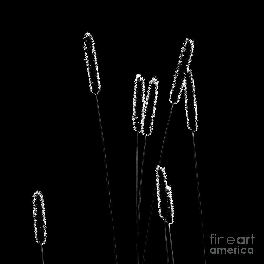 Glow Sticks Photograph by Patrick Nowotny