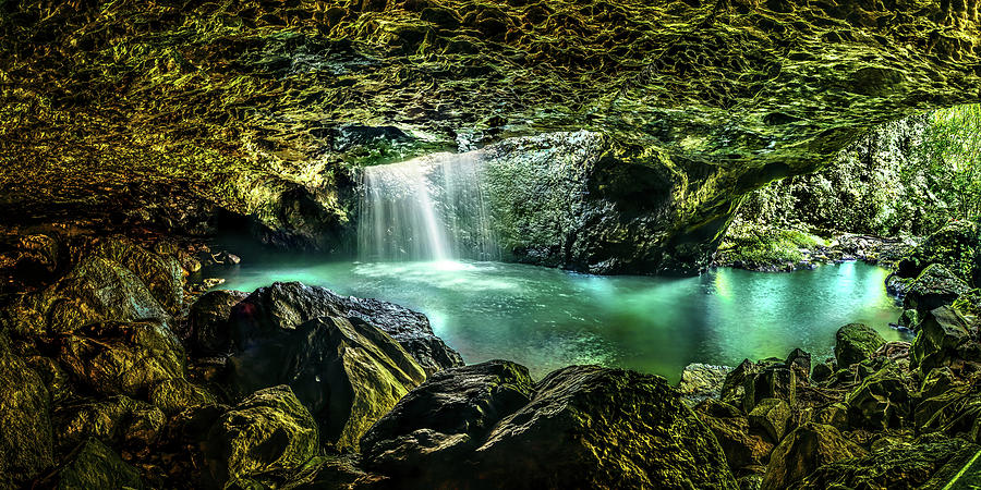 Glow Worm Grotto Photograph by Az Jackson