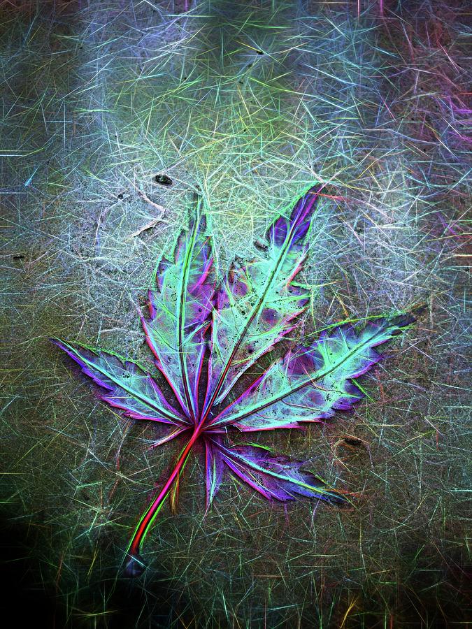 Glowing Abstract Leaf Digital Art by Mo Barton