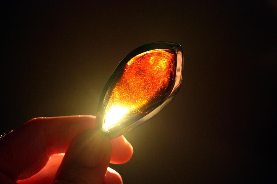 Glowing Amber Photograph by Image by Catherine MacBride