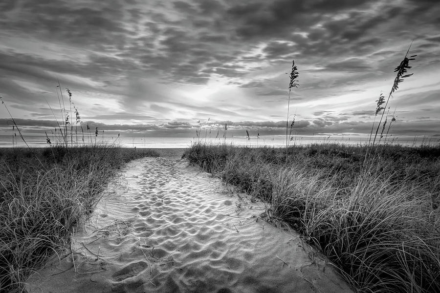 Glowing Beach Sand Black and White Photograph by Debra and Dave ...