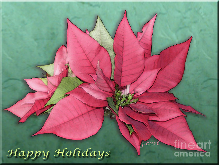Christmas Photograph - Glowing Beauty Holiday Card by Julieanne Case