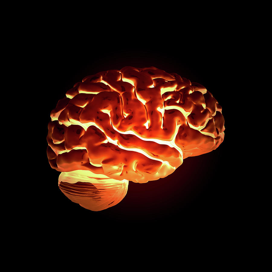 Glowing Brain Photograph by Russell Kightley