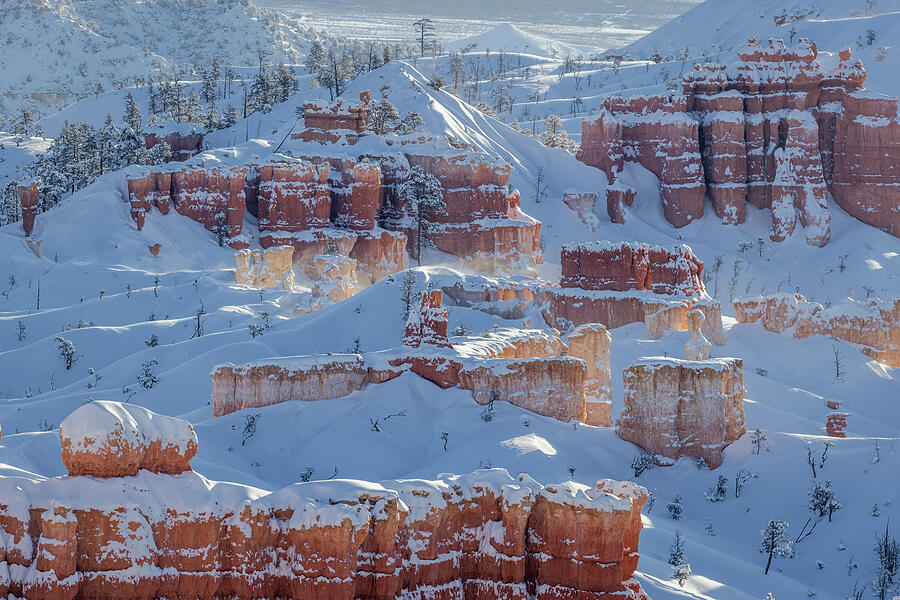 Glowing Bryce Canyon Spires In Snow Photograph by Alex Mironyuk