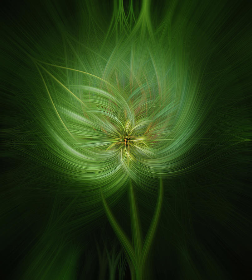 Glowing Dandelion Digital Art by Dan Sproul