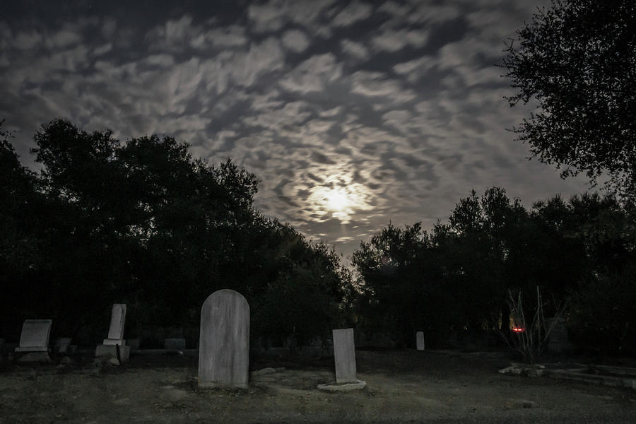 Glowing Eyes at the Cemetery Photograph by Lindsay Thomson