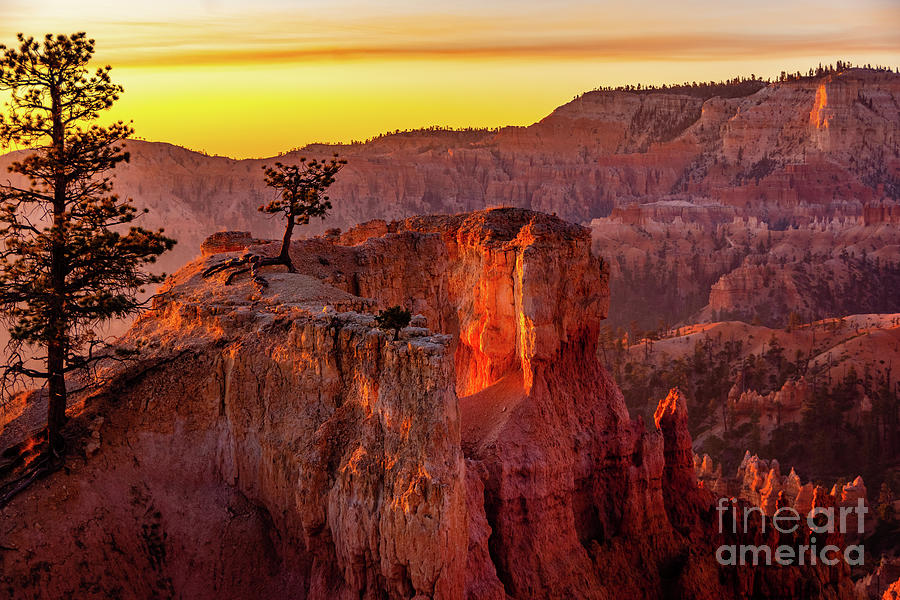 Glowing formation Bryce Canyon Photograph by Nathan Wasylewski
