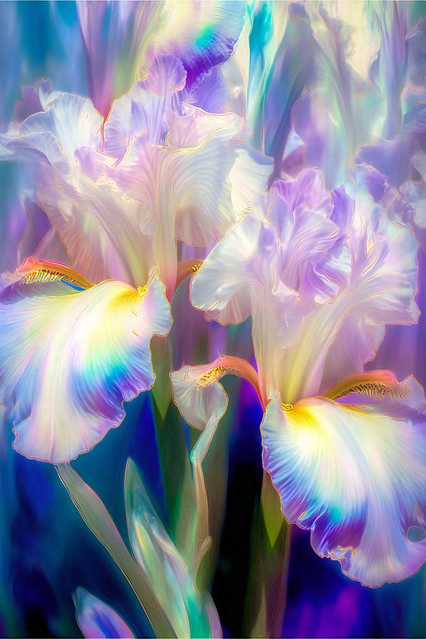Glowing Irises 5a Photograph by Lilia S