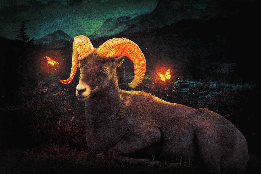 Glowing Mountain Bighorn And Butterflies Mixed Media by Dan Sproul