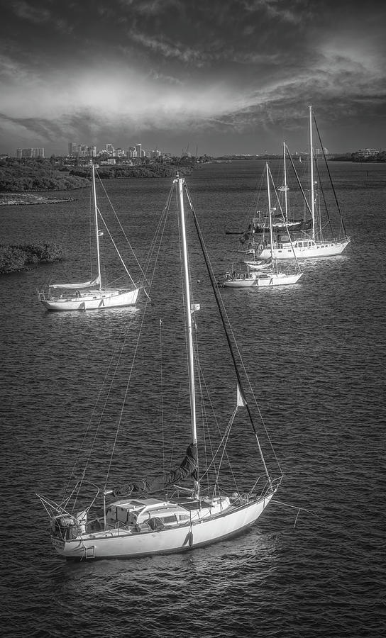 Glowing Sailboats in Black and White Photograph by Debra and Dave Vanderlaan